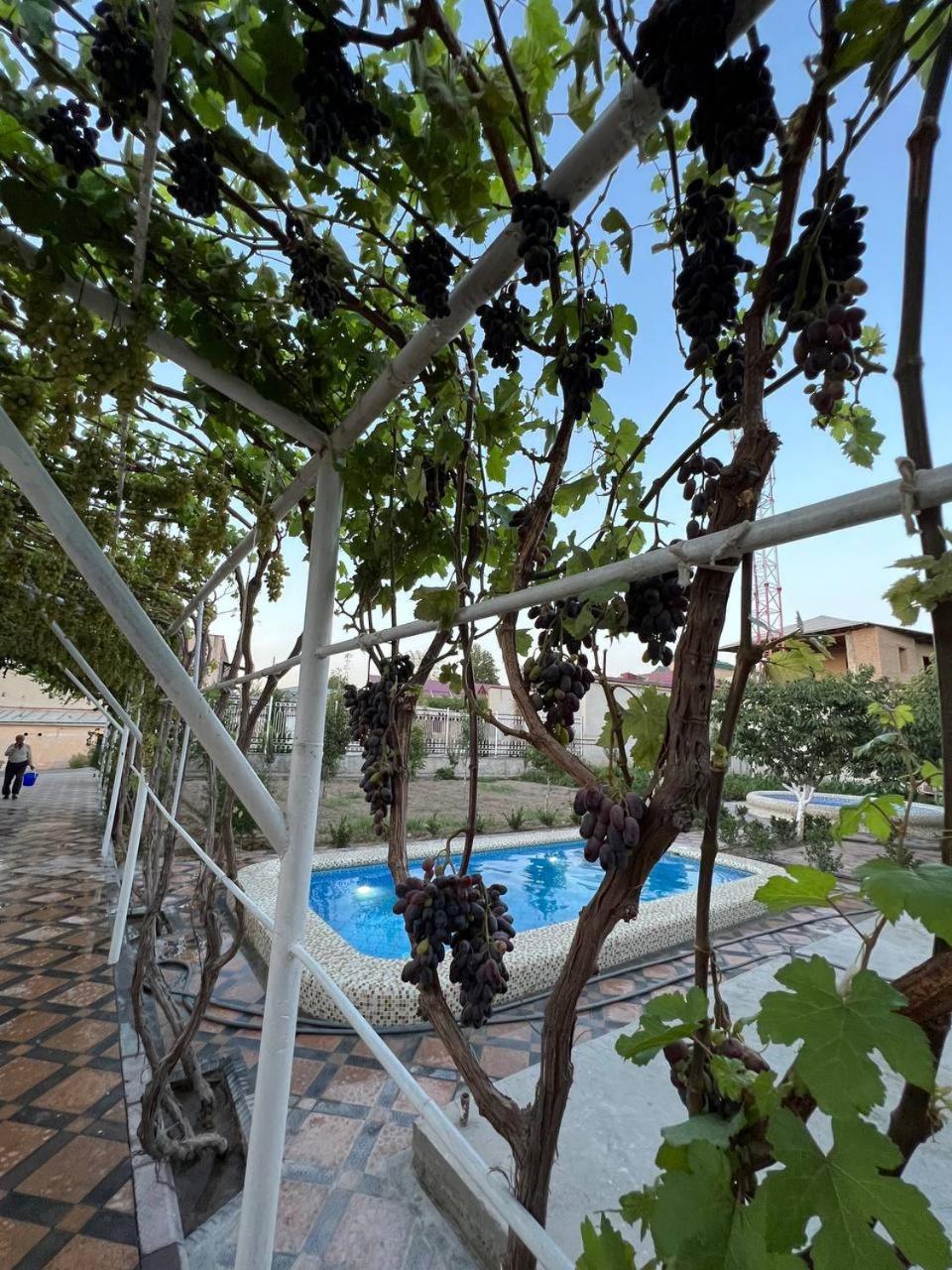Samarabonu Hotel 撒马尔罕 外观 照片